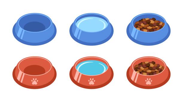 Food and Water Bowls