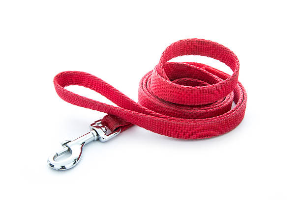 Collar and Leash with red color