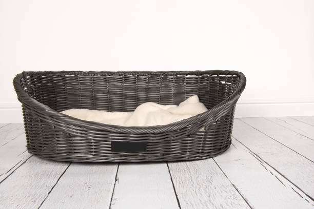 Pet Beds