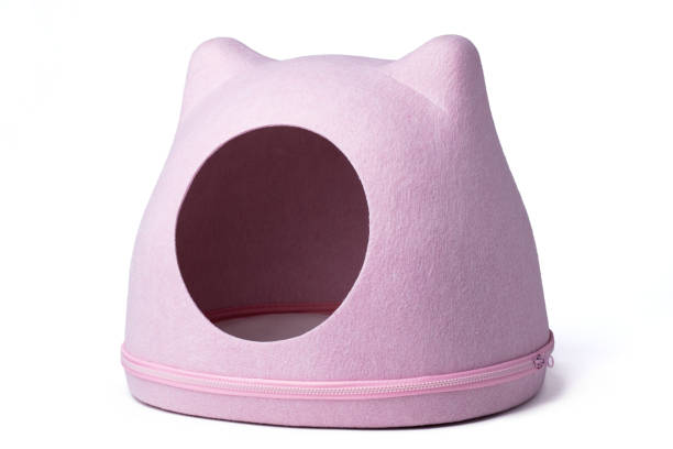 Pet Beds